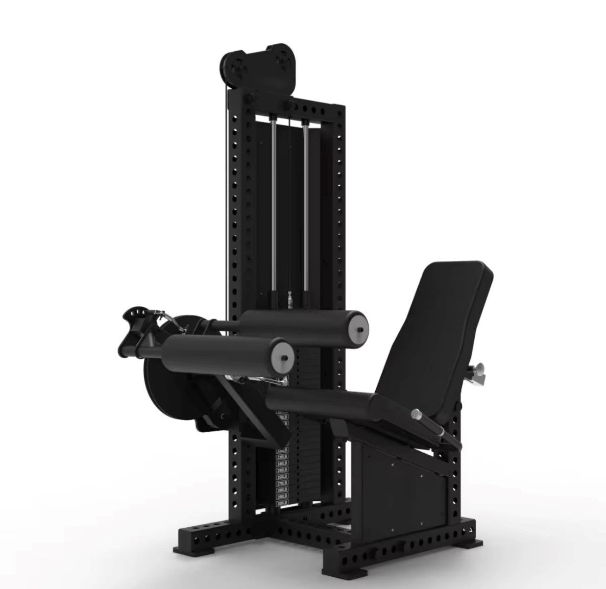 Leg Extension and Leg Curl Machine